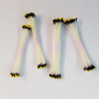 PISTILLI GIALLO NERO MICRO mm. 1 - conf. 4