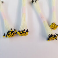 PISTILLI GIALLO NERO MICRO mm. 1 - conf. 4 - immagine 2