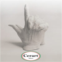 PASTA PER CALCHI ALGINATO + GESSO - immagine 3